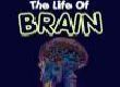 The Life Of Brain